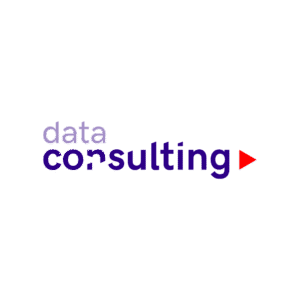 Data Consulting